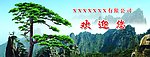 迎客松