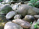 石头