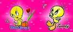 翠儿 Tweety 卡本封面封底