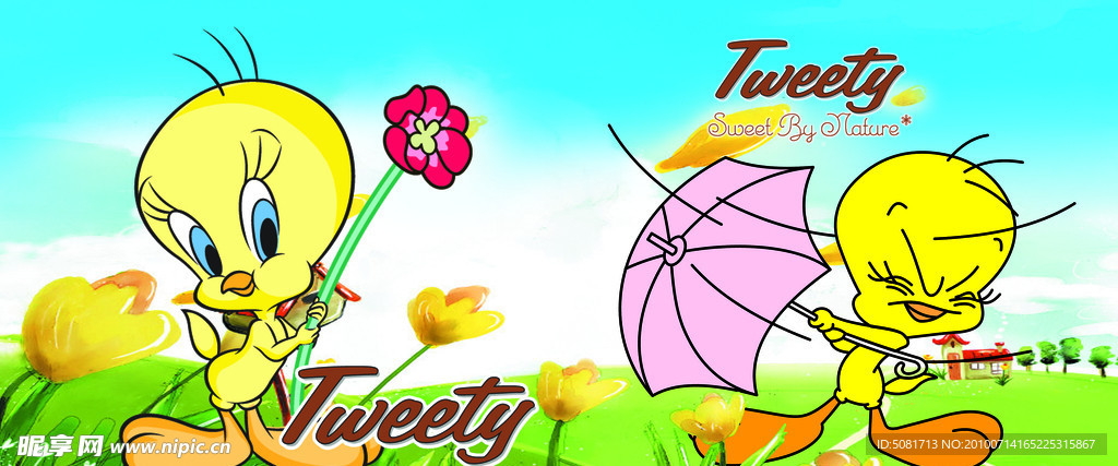 翠儿 Tweety 卡本封面封底