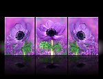 紫色花无框画设计