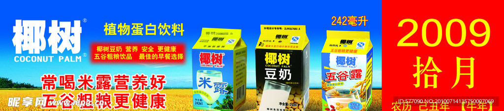 椰树植物蛋白饮料