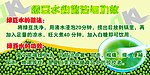 绿豆汤