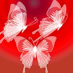 梦幻蝴蝶
