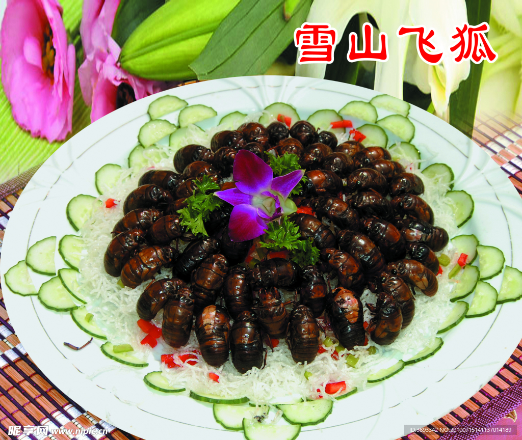 金蝉