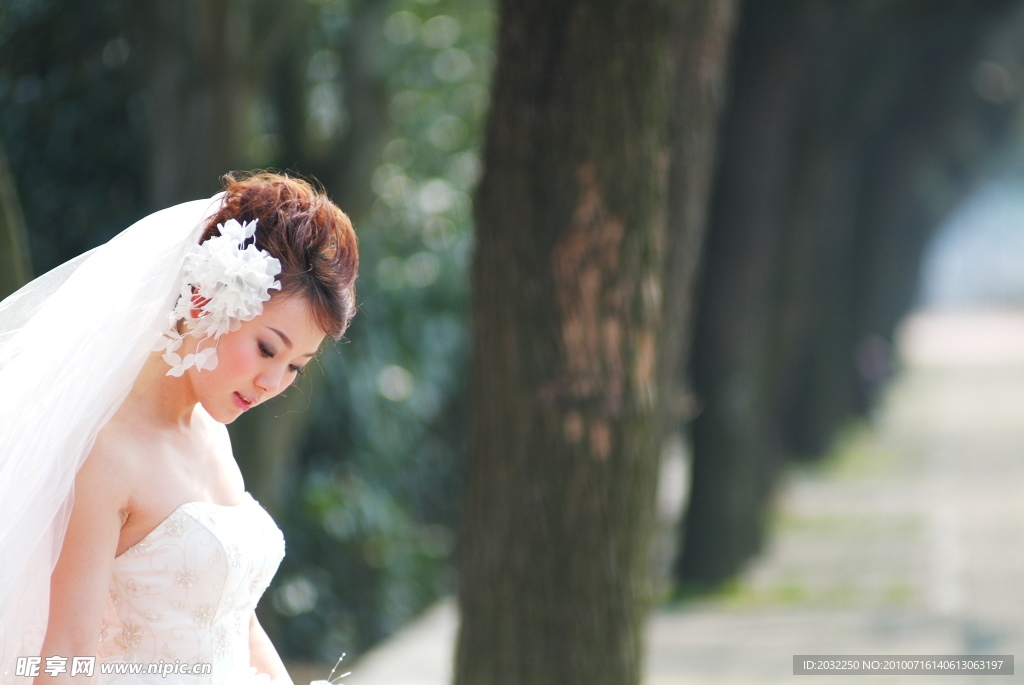 婚纱照