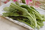 广东菜心