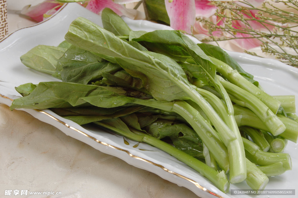 广东菜心