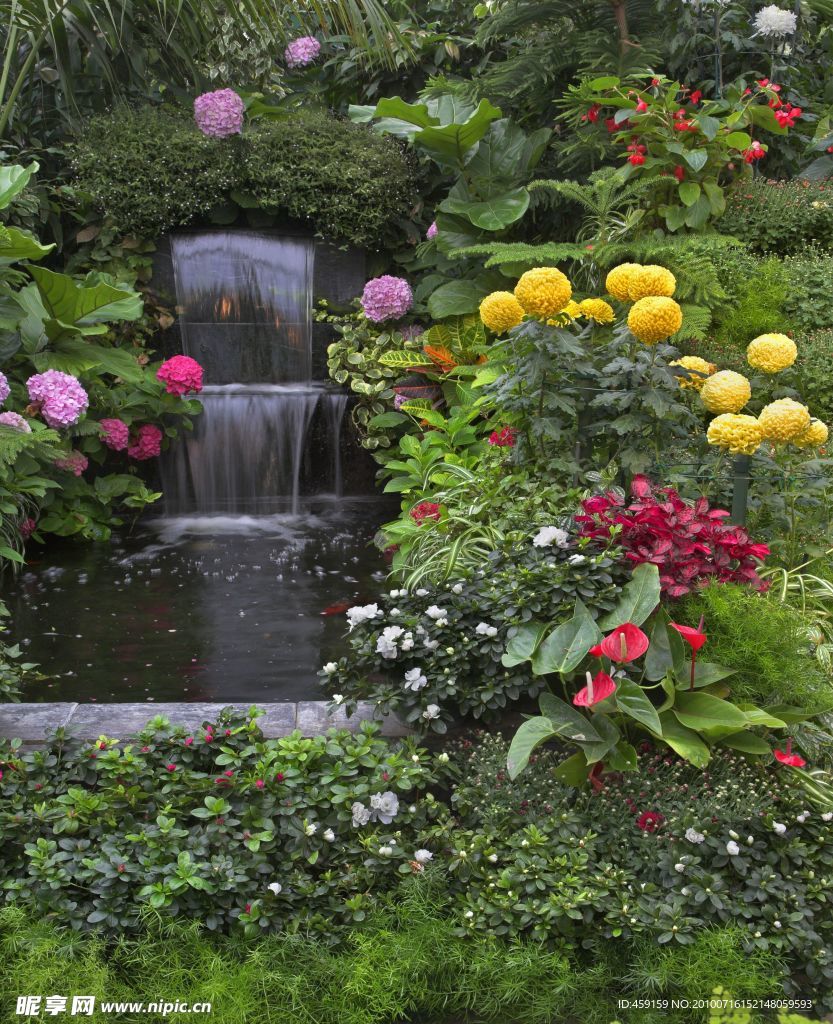 鲜花