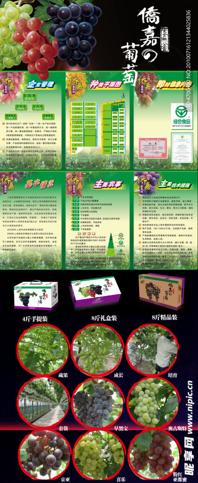 葡萄（分层不精细）