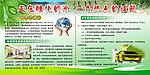 世界环境日 装修 污染 车族 融化