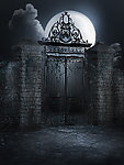 月光下的古老铁门