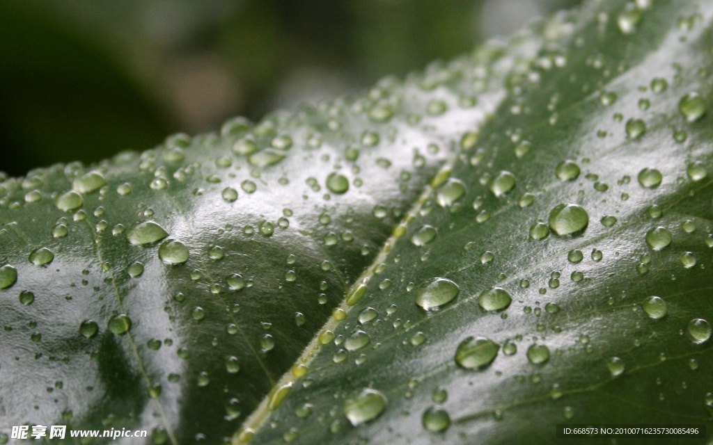 Beautiful Rainy 漂亮的雨壁纸