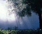 Beautiful Rainy 漂亮的雨壁纸