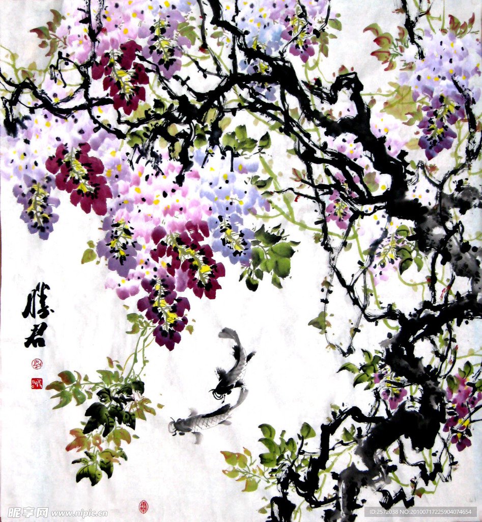 丁香花图