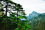 秋色黄山