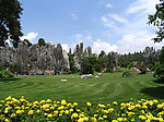 绝美的风景