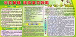 中考复习指导
