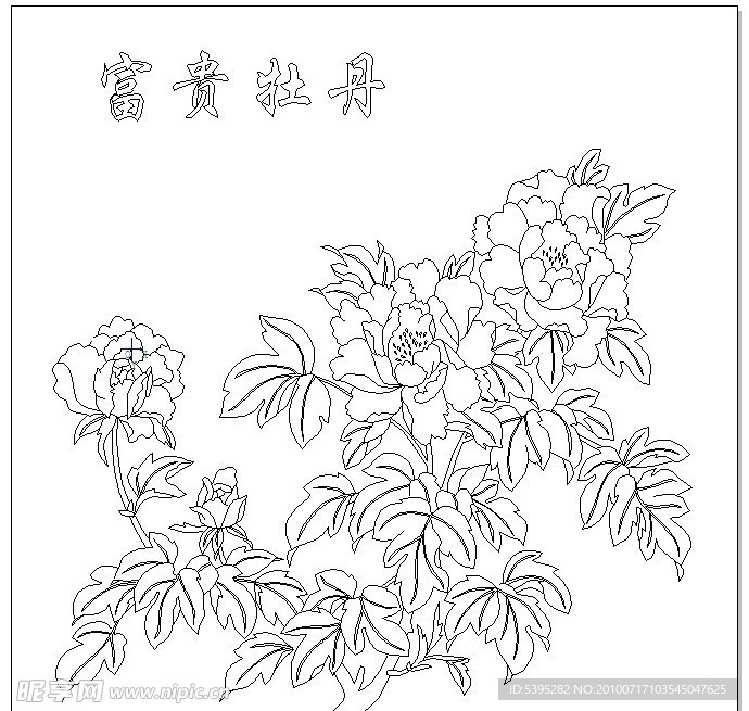 富贵牡丹