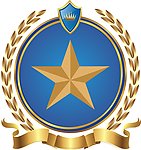金色五角星徽章标识