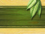 茶协会 超大高清茶叶