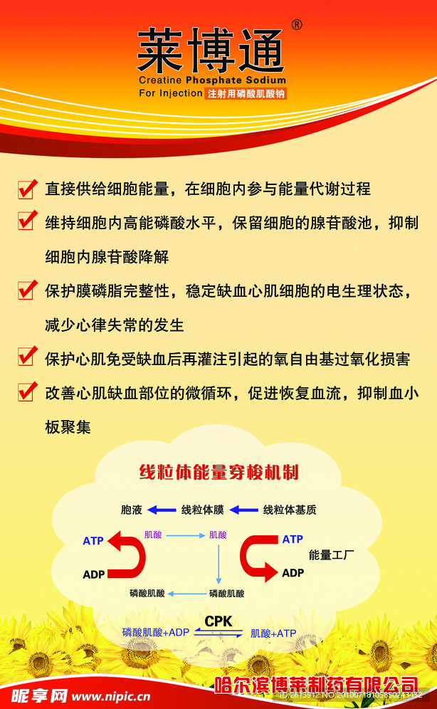 莱博通易拉宝