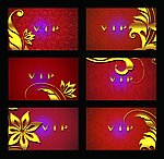VIP金卡