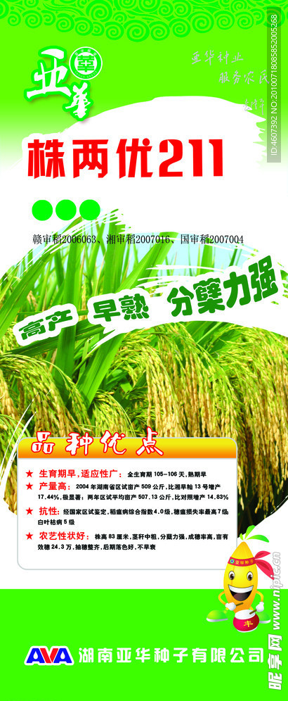 水稻易拉宝