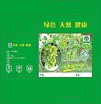 东江提子
