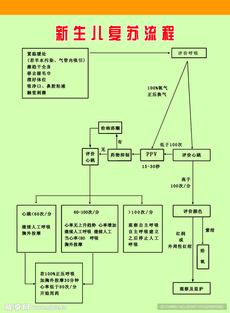 新生儿复苏流程