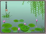 出水芙蓉