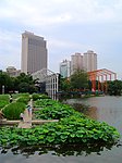 岐江公园