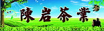 茶业广告