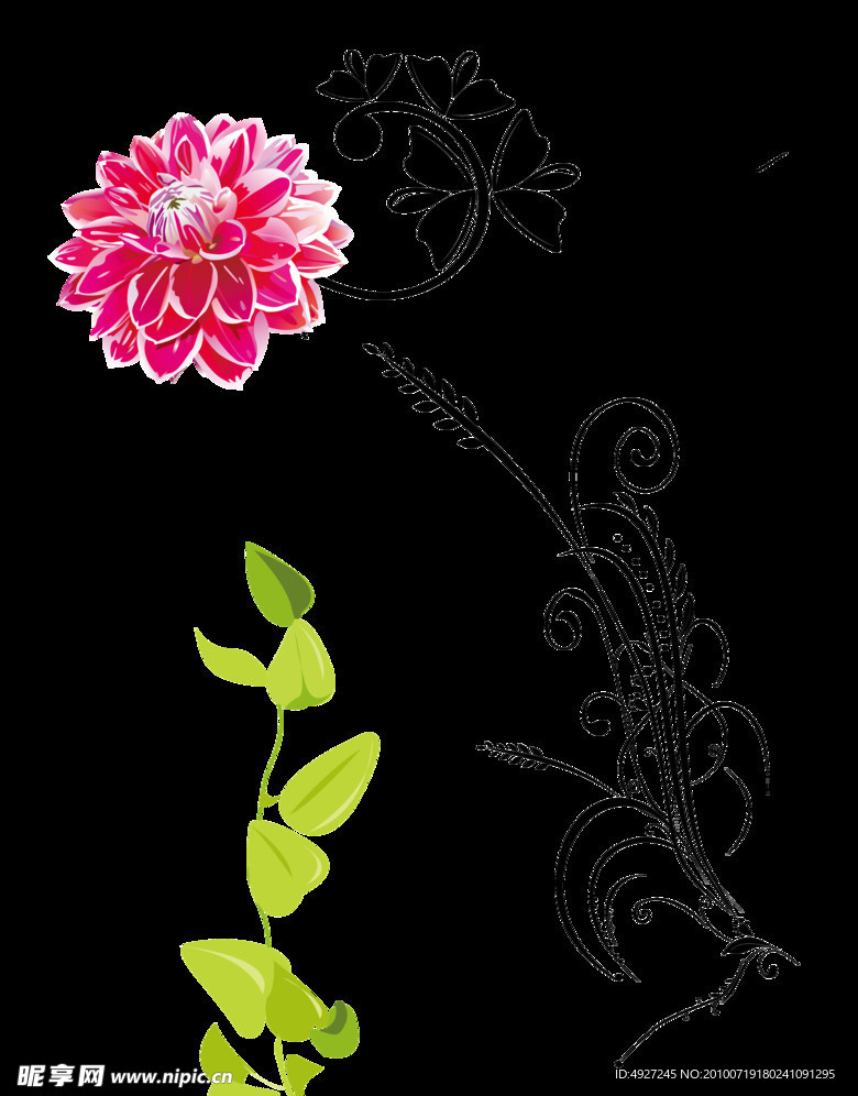 花与花纹