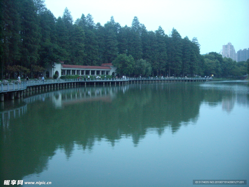 雨中风景