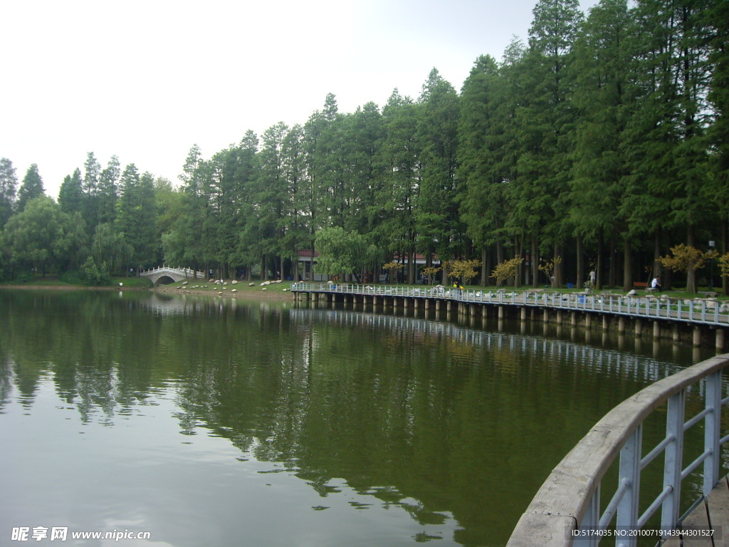 湖水 树木 风景