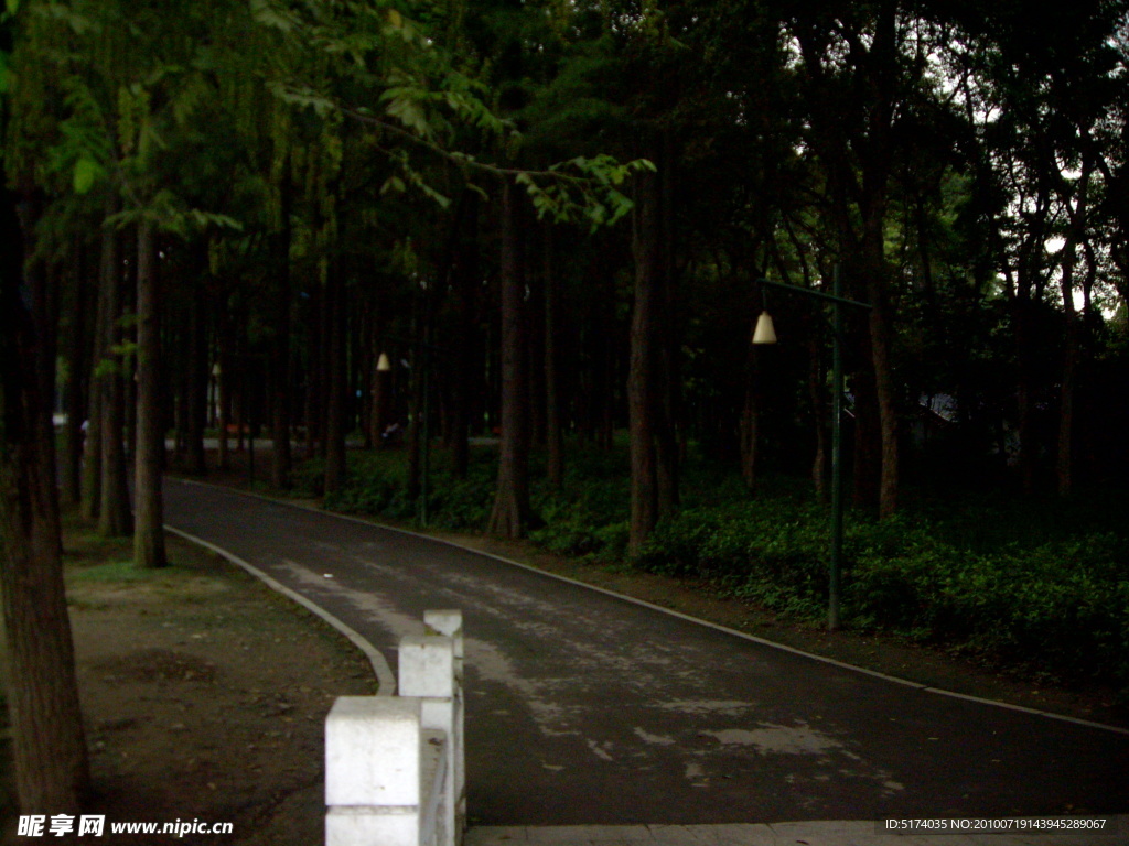 夜间小路 风景