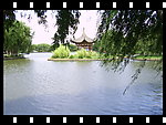 杨柳湖