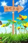 欢迎光临菜园