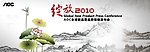 绽放2010
