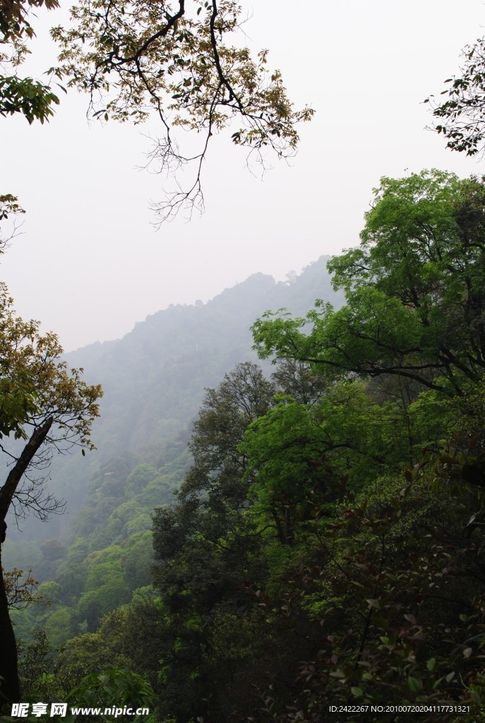 风景