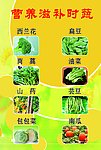 营养滋补时蔬