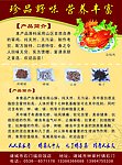 彩页