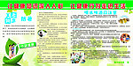 健康教育宣传版