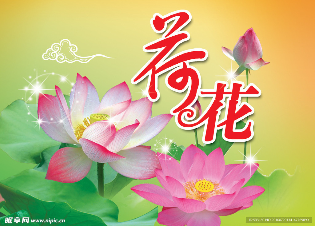 荷花