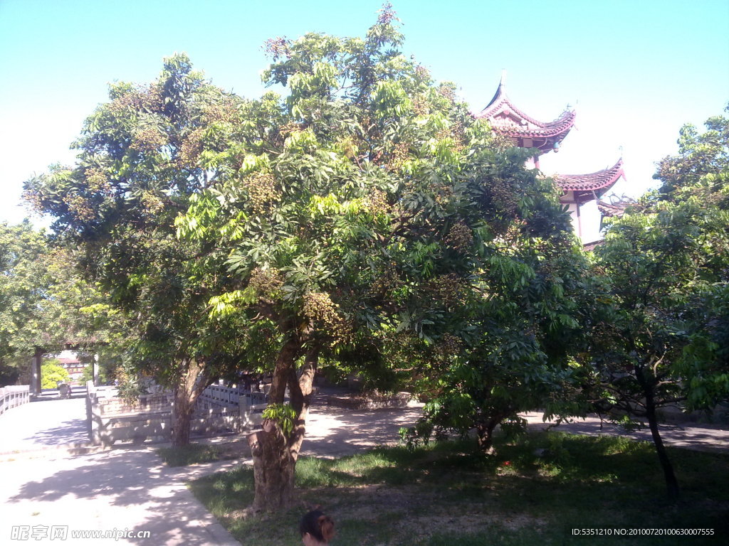 大自然风景