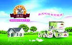 澳纽