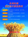 中国人寿