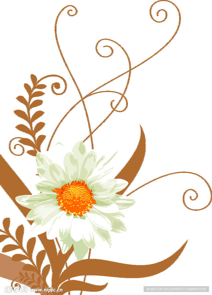 花与花纹