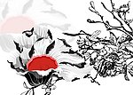 美丽花